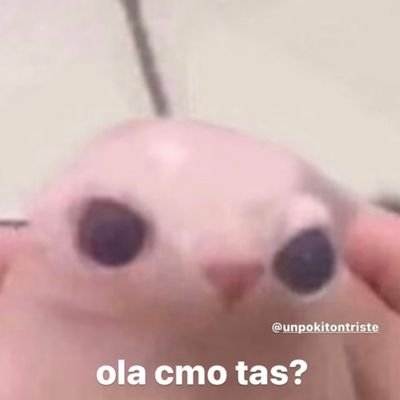 Quechimbasoy's profile picture. Buen hombre , adicto a la buena musica