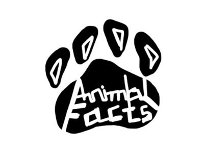 Facts about animals

*they made us do it for a hw*