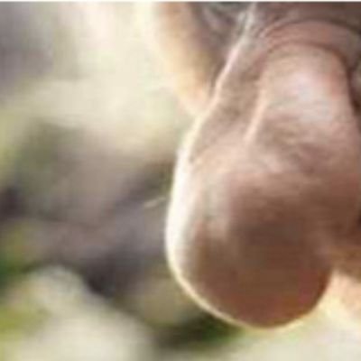 NagotPa's profile picture. 