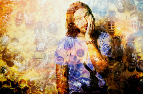 treiz27's profile picture. I love dragon ball z,gundam wing,rock,skating,drawing,xbox,ford cars,Pepsi & jack in the box,I wear Levis 501s, I eat captain crunch 24/7