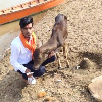 राजेश प्रजापति 🦁 (@rajeshp16807232) 's Twitter Profile
