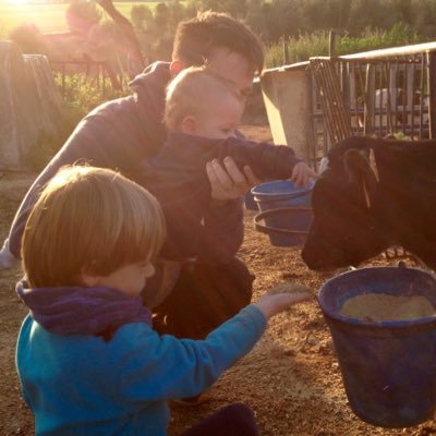 jordi_marco9's profile picture. Mestre de primària