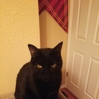 Ryukosho1209's profile picture. 