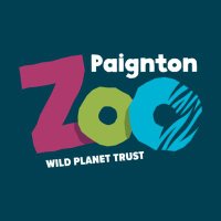 PaightonZoo (@paightonz) 's Twitter Profile
