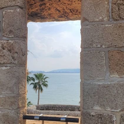 Modi60694011's profile picture. 