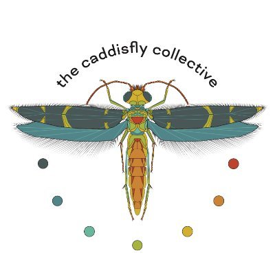 A community science project focusing on caddisflies in urban environments https://t.co/pa2cOQR7BK