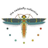 The Caddisfly Collective (@caddis_project) 's Twitter Profile