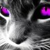 ALEX (@alexxxxcs2) Twitter profile photo ALEX (@alexxxxcs2) Twitter profile photo