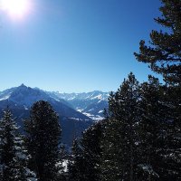 justice&peace (@peterfankhause3) 's Twitter Profile