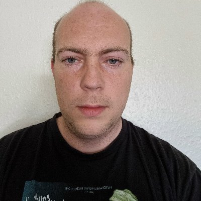 Customer Services @ TravianGames
Application Developer and Tester
Geek