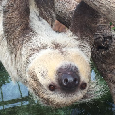 pop27_bear's profile picture. 飲み友とか趣味友募集中 #お酒 #飲み友 #飲み友募集 #飲み友達 #飲み友達募集 #居酒屋