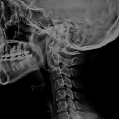 lifeinaesthetic's profile picture. he/they/it | 22 | furry trash | just a little bastard boy | kiss me