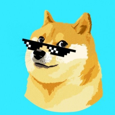 I’m a web developer who really likes to build websites