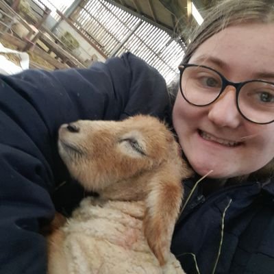 BronwenRosie's profile picture. ✝
🏴󠁧󠁢󠁷󠁬󠁳󠁿
🌞