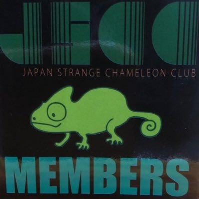 会えなくなって しぼむはずの想いは どんどんふくらんでゆくんだ 見せたいな the pillows、山中さわお、CASABLANCA、noodles、 シュリスペイロフ 星野源