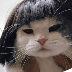 eoqthur's profile picture. uma garota otome fora do meio por ser um homem gay