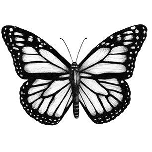 isell_feet_pic's profile picture. Tiny size 6 feet ~ dm for cashapp ~ into weird feet HMU