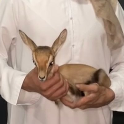 lidl121's profile picture. حساب شخصي