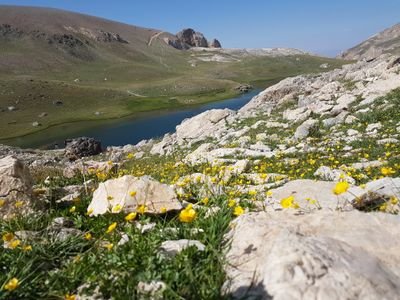 hunili doktor, KAHEV üyesi, işyeri hekimi