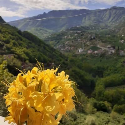 NurKarakoyunlu_'s profile picture. 