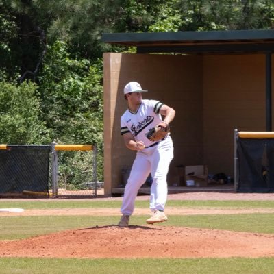 Georgia southern baseball