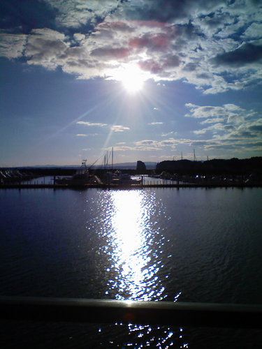 Syoyo_'s profile picture. 