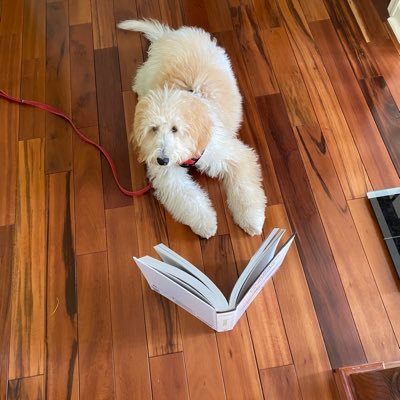 o_economics's profile picture. Hubbard and O’Brien Economics textbook. Blog at https://t.co/UJMRie0mCX.