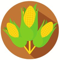 Children of the Corn (@cotcesports) 's Twitter Profile