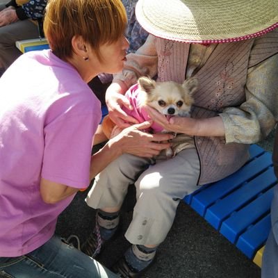山形県内の様々な施設でアニマルセラピー活動を行っています。犬との触れ合いを通して心穏やかに癒される時間を過ごすことを目指しています。