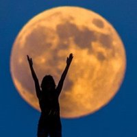 ForCryptoUseOnly (@forcryptouseon1) 's Twitter Profile