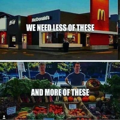 mikeephraem's profile picture. Scholar