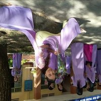 Berry Raven ❤️ Memecoin (@berryraven9) 's Twitter Profile