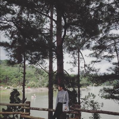 Hall Alianna ❤️ Memecoin Profile