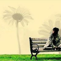 England Hadlee ❤️ Memecoin (@englandhadlee) Twitter profile photo