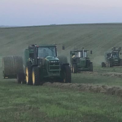 husband & father 5th generation   cow/calf row cropper no tiller   Gubbels Custom Haying