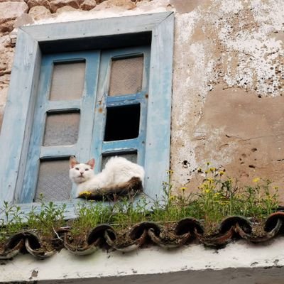 0vQMVwm5macyxlF's profile picture. 🇯🇵🇲🇦国際結婚。2018年1月、モロッコ1人旅初日に私の意識の低さからお財布盗難に遭い、途方に暮れていたところを助けてくれたのが今の夫🤣 出会って 1ヶ月後に交際開始〜2021.夏にようやく夫婦になれました😊 夫との嬉しかったこと、楽しかったことなど忘れないよう記録もかねて。