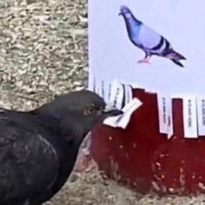 iam_jh23's profile picture. 🚀🎼🏈