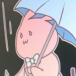 かめ仔さんのプロフィール画像