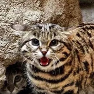 ljq_1994's profile picture. 一般社会人