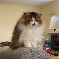 Rachel (@rachendeavours) 's Twitter Profile Photo