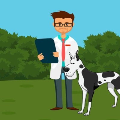 Bachelor of Veterinary Medicine,