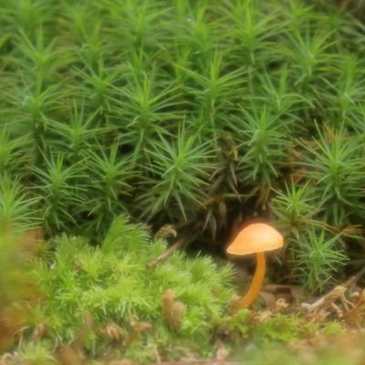 afururusekai_'s profile picture. さぁ行こう～新しい世界、黄金時代✨✨✨

副業、投資系は全てブロックします