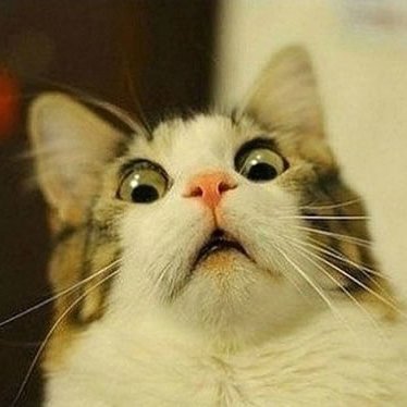 MRushdan14's profile picture. 