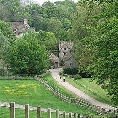 DKleinSchwartz's profile picture. 