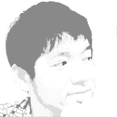 Husband. Dad of two, 10yo boy & 7yo girl. Japanese native. Struggling with English to read documents for dev. Prefer Swift lang.