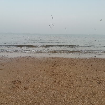 ColorYanshan's profile picture. 家有宝贝 很爱他