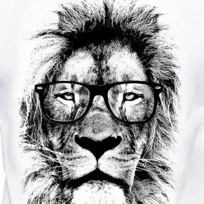 Mr PaparARTzzi
Just a kid from Geelong Australia.
One day your the cock of the walk next day your the feather 🪶 duster !
https://t.co/vIgggQPmo5