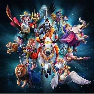 dhubesh69's profile picture. Har Har Mahadev