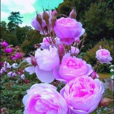 nighthunter747's profile picture. Crypto || Innovator || Developer