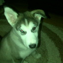 Melissa Shears - @Melissashears - Twitter